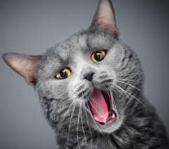 jamin的头像-金点网络-全网资源,一网打尽